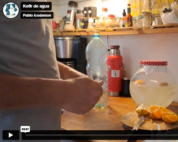Protegido: Cómo hacer Kéfir de agua